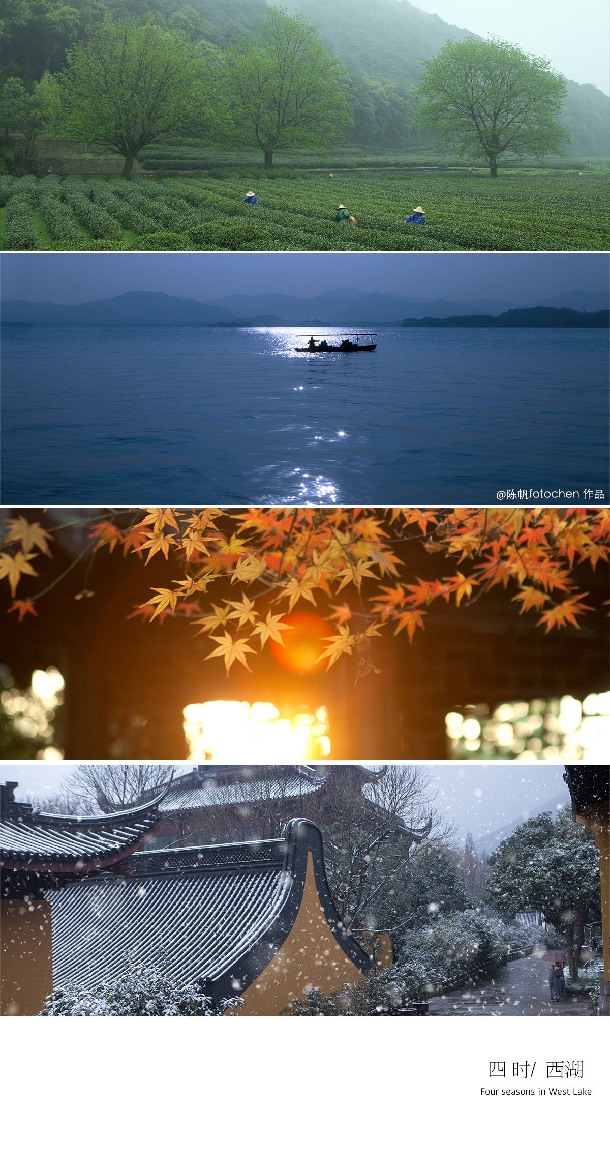 春夏秋冬,四时西湖.