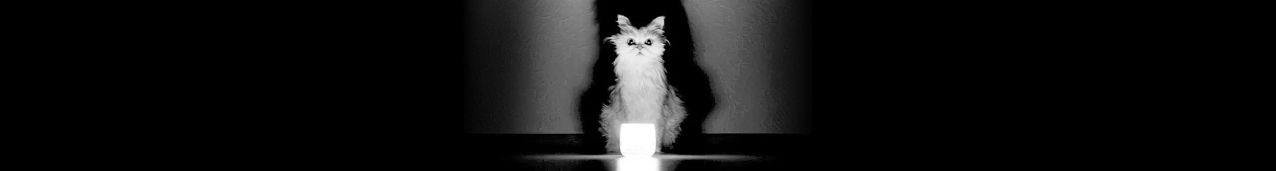 Dabria大瑞的個人主頁（封面預(yù)覽） - 主頁封面設(shè)置 - 站酷設(shè)計師Dabria大瑞原創(chuàng)素材 - 站酷ZCOOL