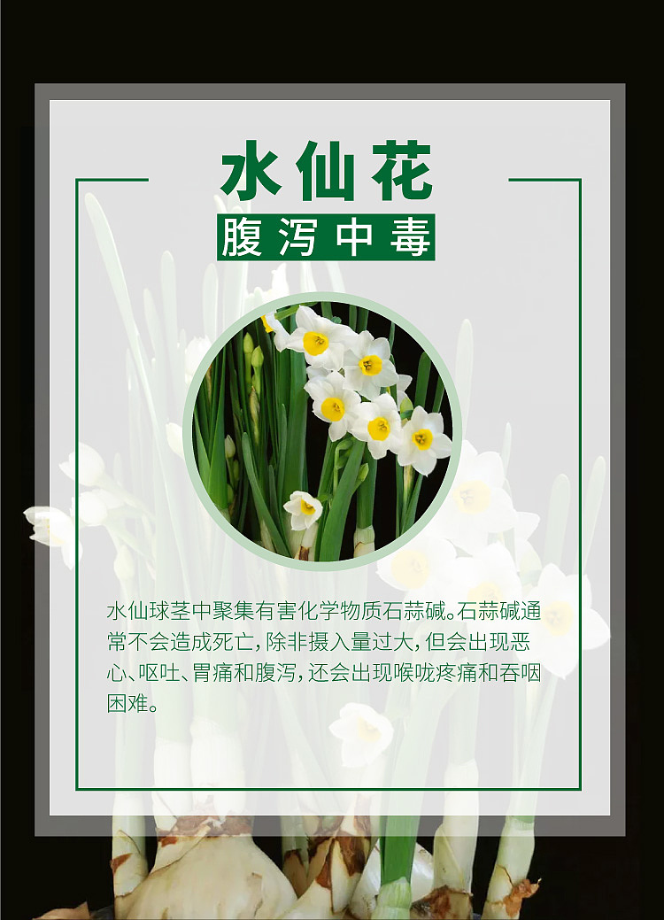 宣传图（图ZMTYwNTI0MTc2） - 其他 - 站酷设计师ad1886原创素材 - 站酷ZCOOL