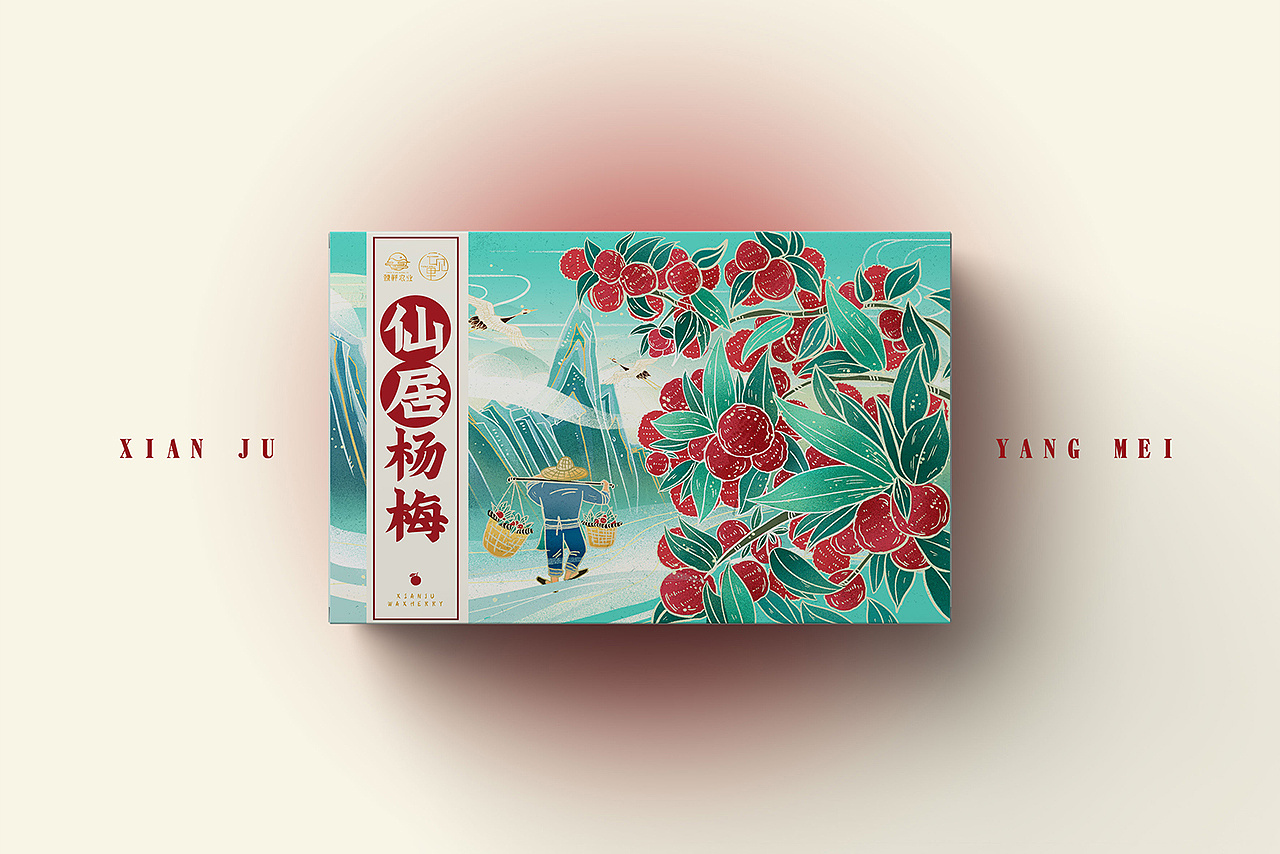 仙居杨梅-插画包装