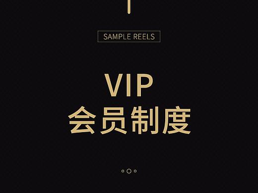 VIP会员制度页面