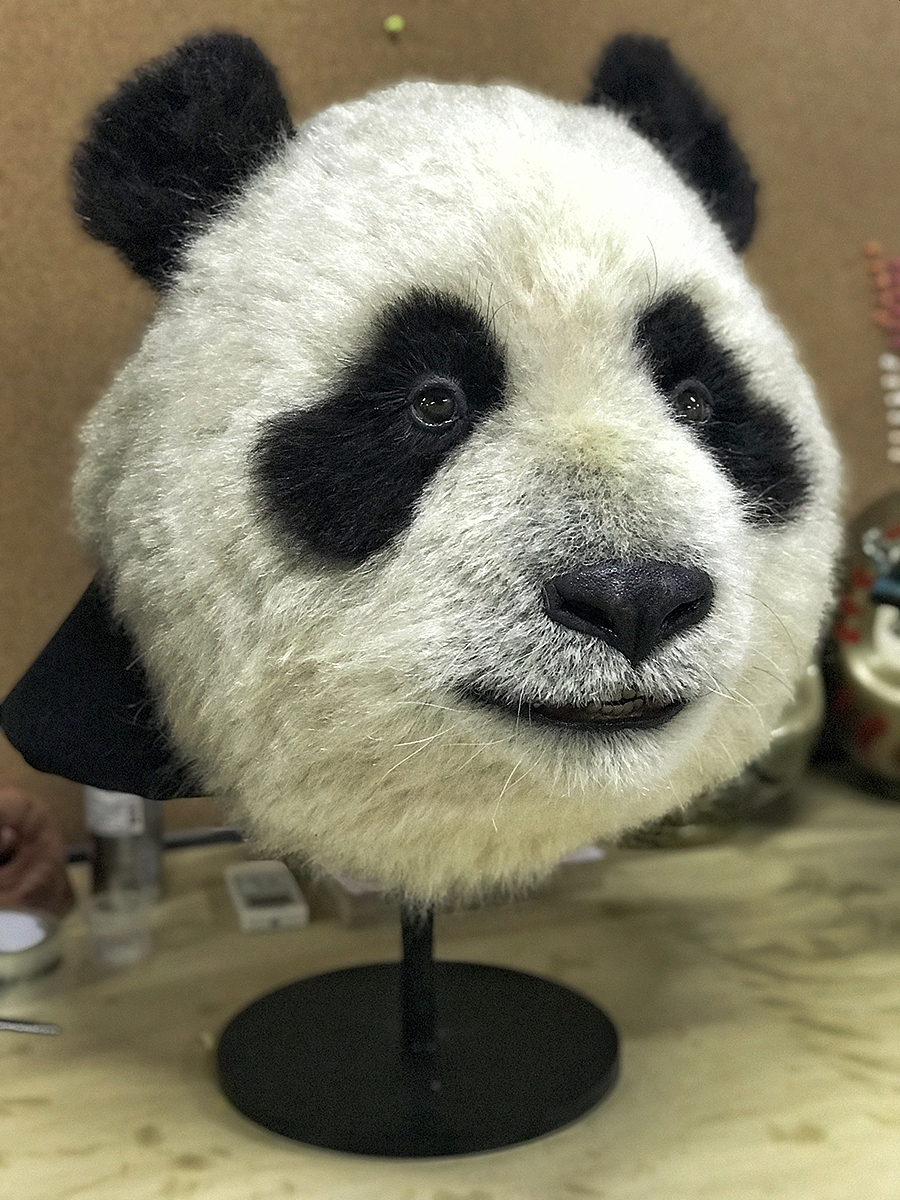 制造仿真生物(图ZMjA1NzIzNTU2) - 其他手工艺 - 站酷设计师光澤作用工作室原创素材 - 站酷ZCOOL