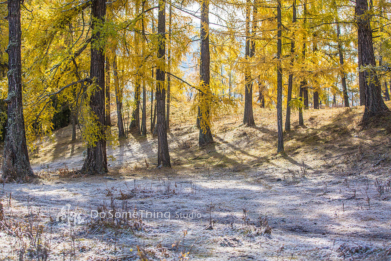 北疆行迹（图ZOTQwODY2MjA=） - 风光摄影 - 站酷设计师kiwihello原创素材 - 站酷ZCOOL