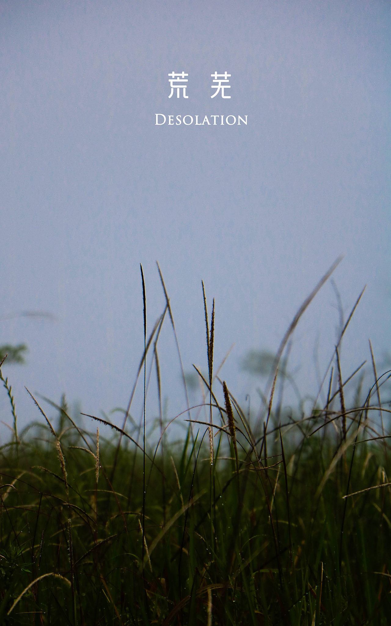 【荒芜与孤独】