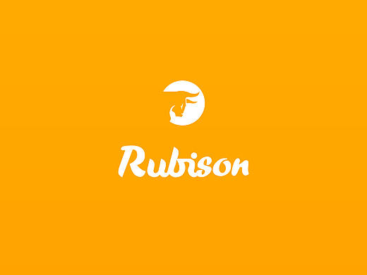 日常工作-Rubison_官网