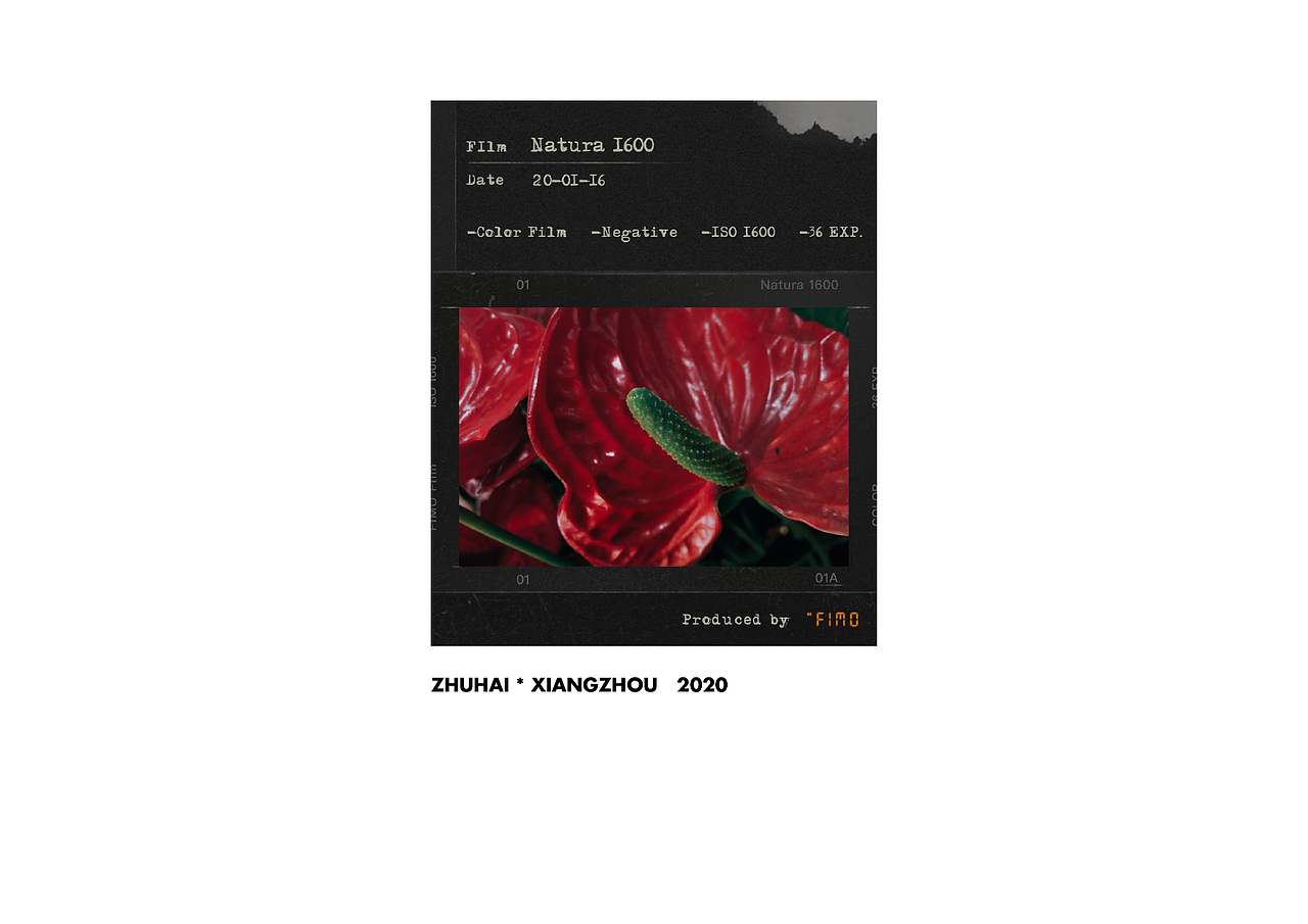 来自2020的手机摄影总结（图ZMjM4OTIzODk2） - 人文/纪实摄影 - 站酷设计师霖马桶原创素材 - 站酷ZCOOL