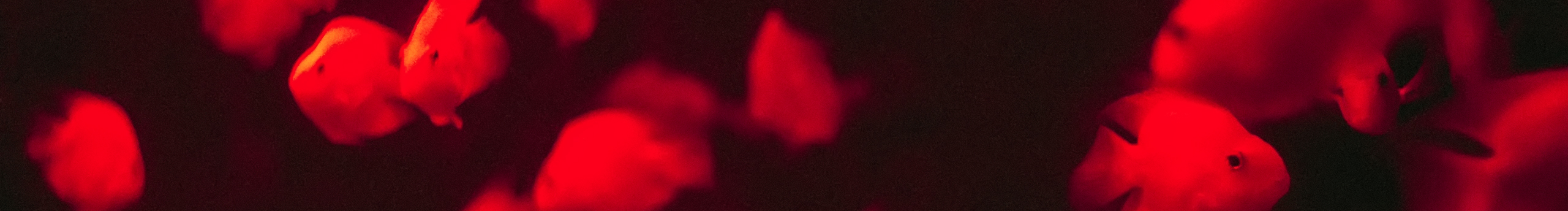 WORSTERAY的个人主页（封面预览） - 主页封面设置 - 站酷设计师WORSTERAY原创素材 - 站酷ZCOOL