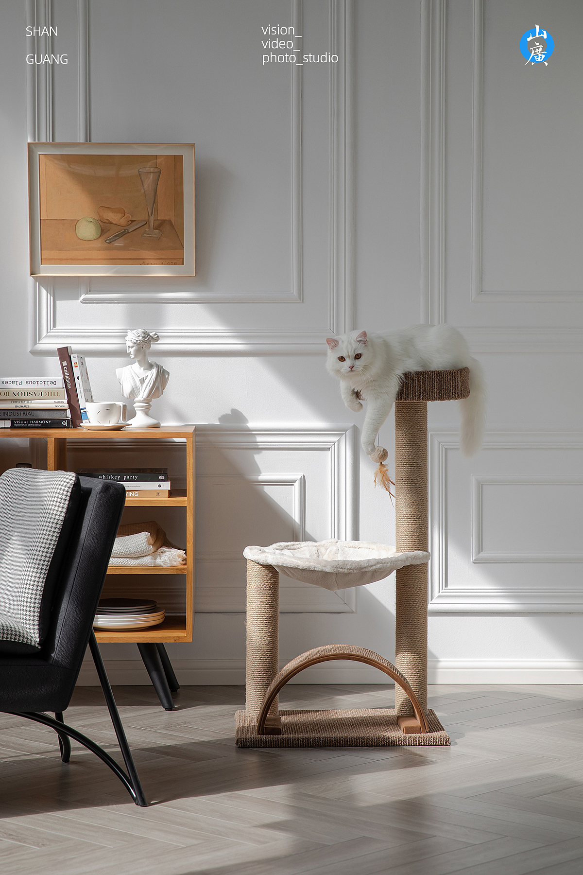 福丸宠物用品｜案例展示（图ZMjU3NjAyOTky） - 产品摄影 - 站酷设计师摄影师梓俨原创素材 - 站酷ZCOOL