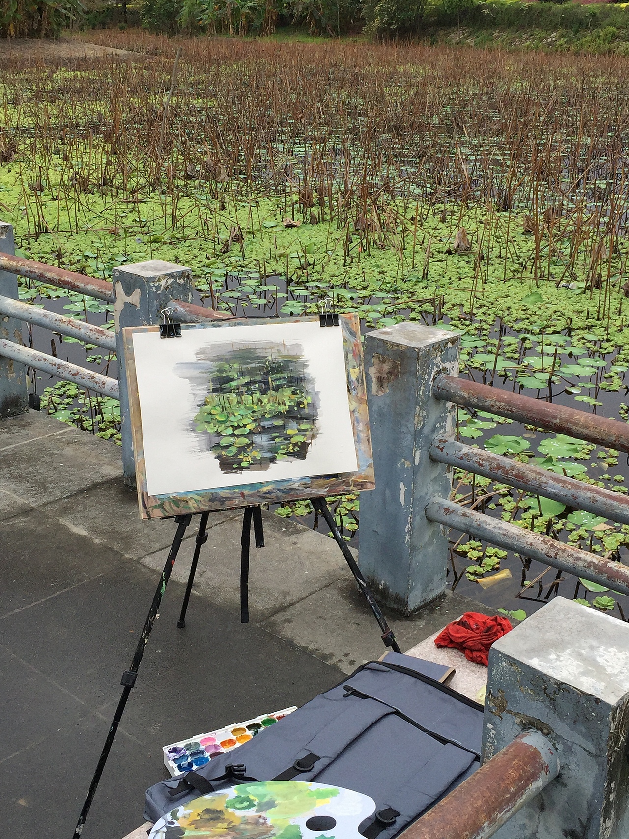 荷塘写生（图ZMTkyNDI1Mzg0） - 绘画 - 站酷设计师Jerry田野原创素材 - 站酷ZCOOL