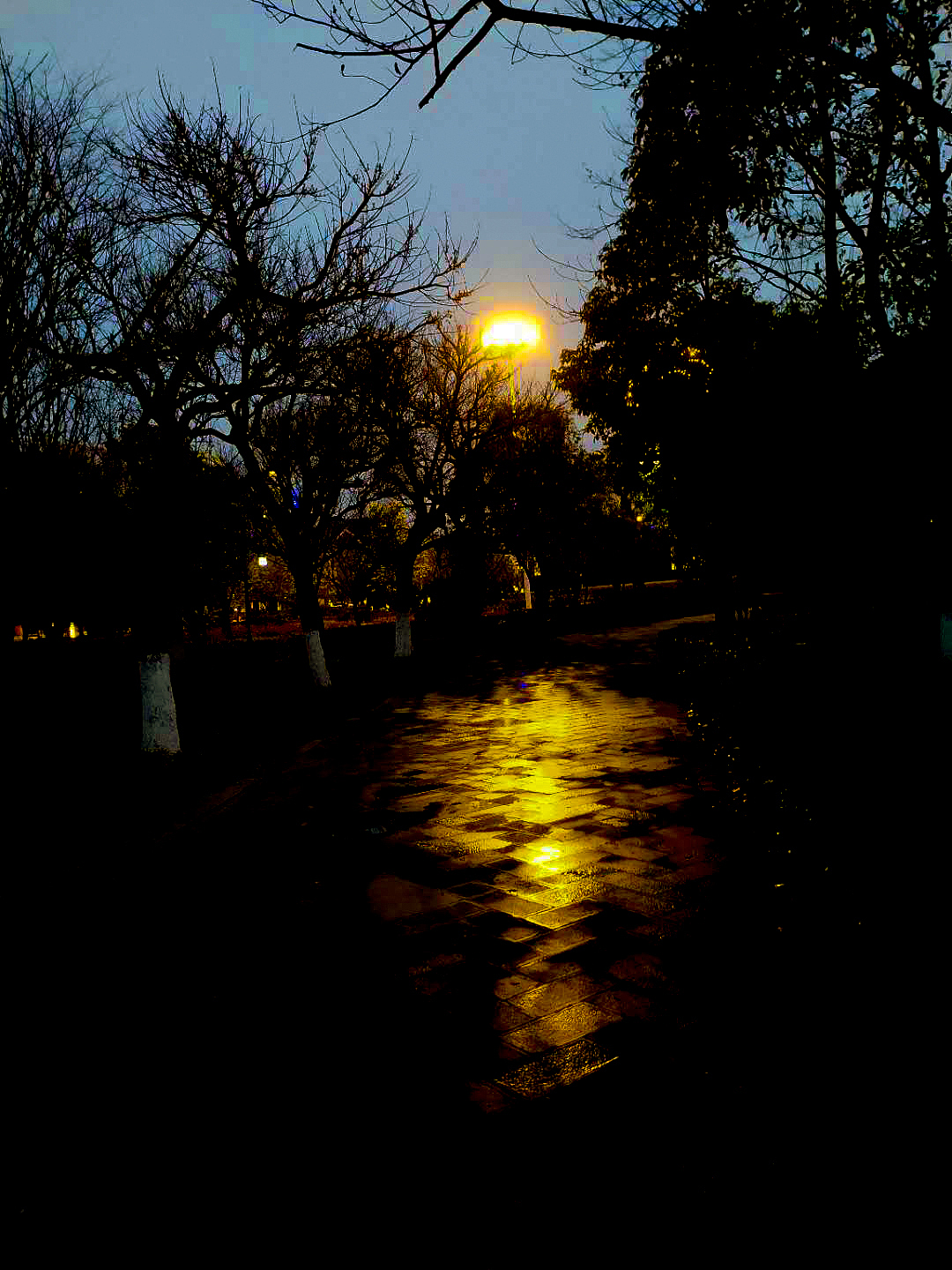 风景（图ZMjA2MjY0MDA4） - 风光摄影 - 站酷设计师爱上网的老污龟原创素材 - 站酷ZCOOL