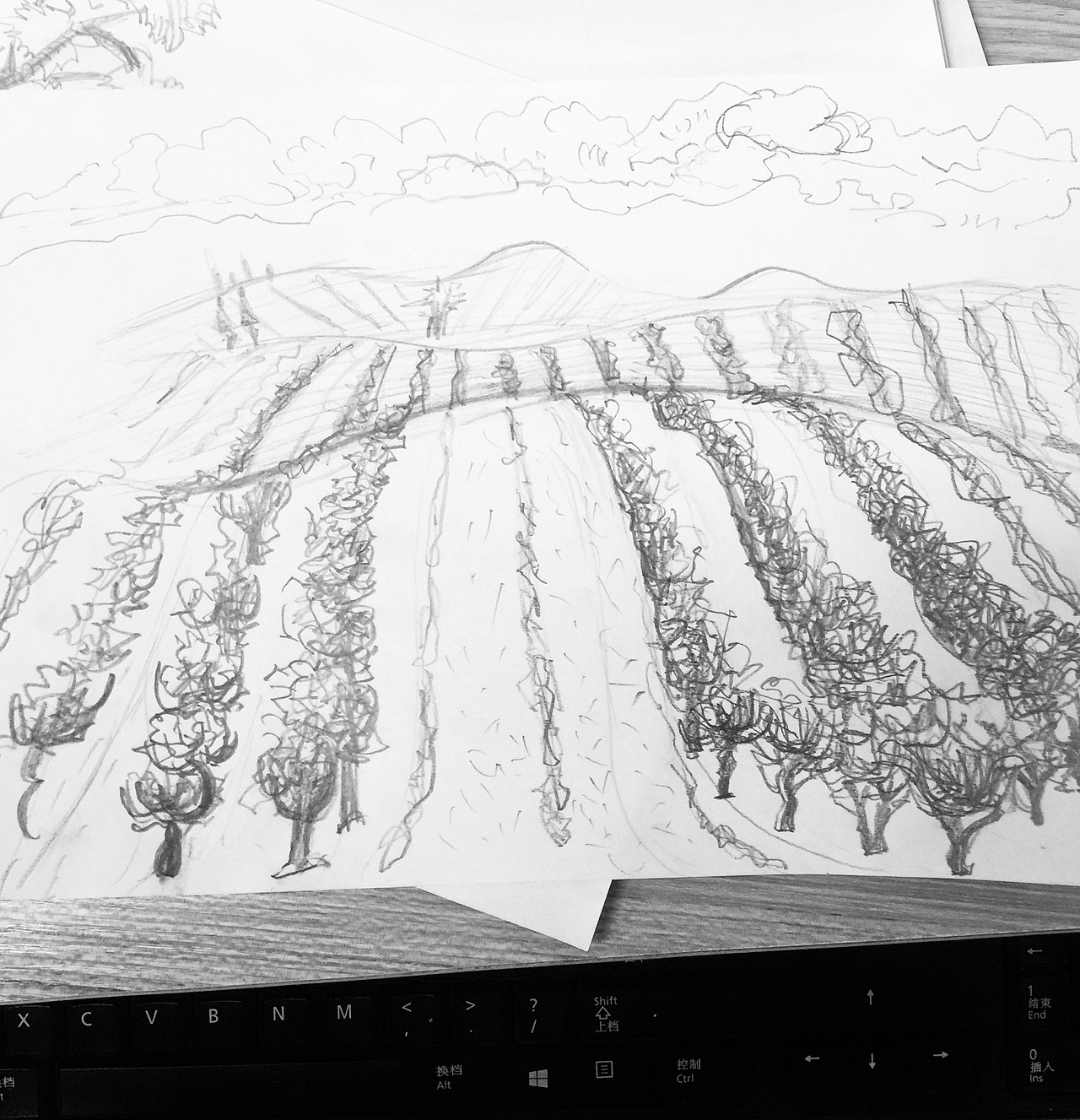 包装设计 部分案例整理（图ZMjAwNTQwMDI4） - 包装 - 站酷设计师斌少设计原创素材 - 站酷ZCOOL