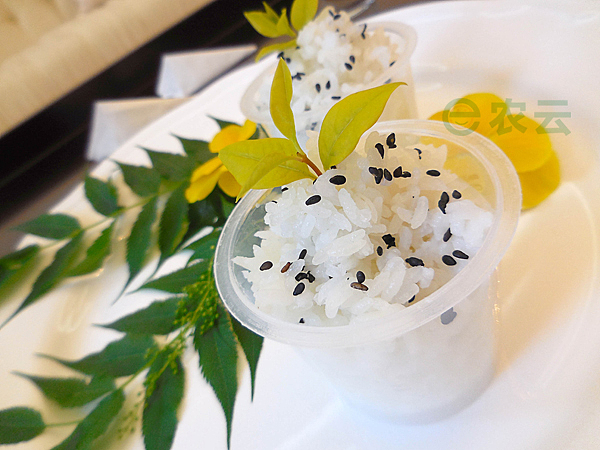 美食摄影大米类谷物摄影（图ZMjkzOTIyMzY=） - 产品摄影 - 站酷设计师DOMI兜米原创素材 - 站酷ZCOOL