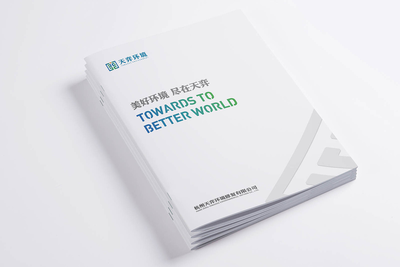 石特设计 - LOGO/VI设计|全案策划设计