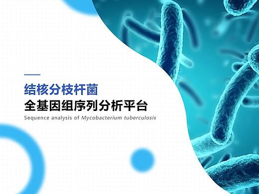 网页设计