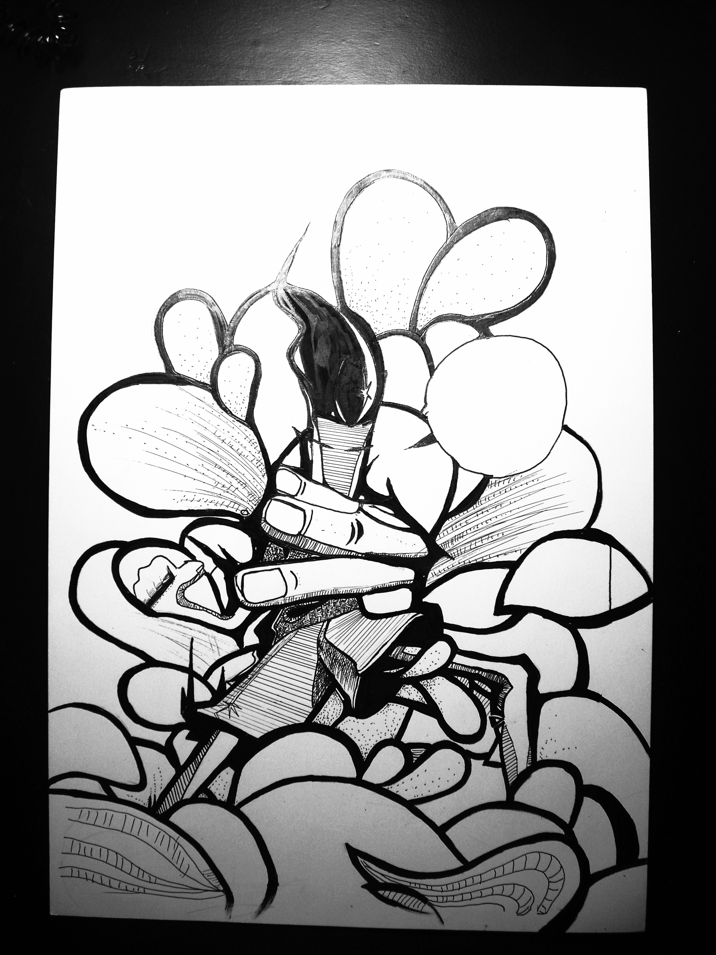 【原创】手绘黑白花卉插画|插画|创作习作|Z85279046 - 原创作品 - 站酷 (ZCOOL)