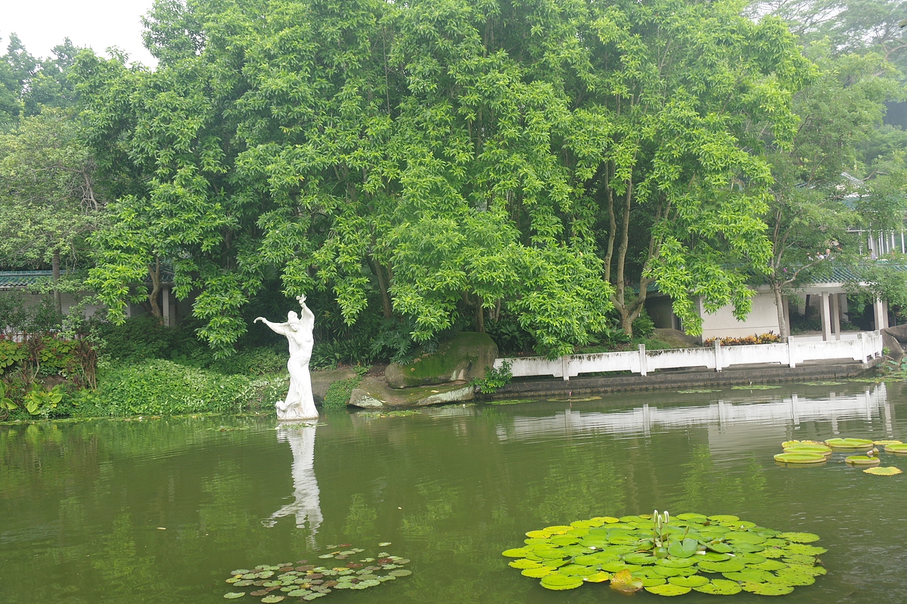 户外摄影--厦门摄影（鼓浪屿、植物园）（图ZNTc4Mzc2MzY=） - 环境/建筑摄影 - 站酷设计师今天能喝咖啡了吗原创素材 - 站酷ZCOOL