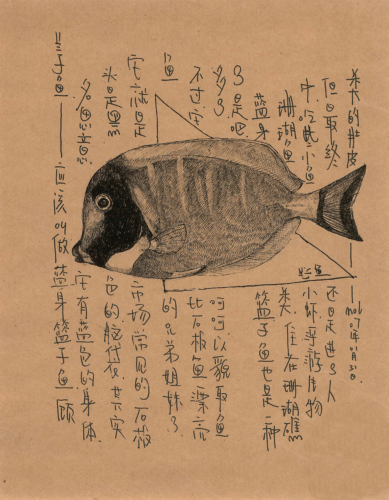 这个关于海鲜的插画手稿（终）（图ZMTM2ODEwOTg4） - 创作习作 - 站酷设计师daimol原创素材 - 站酷ZCOOL