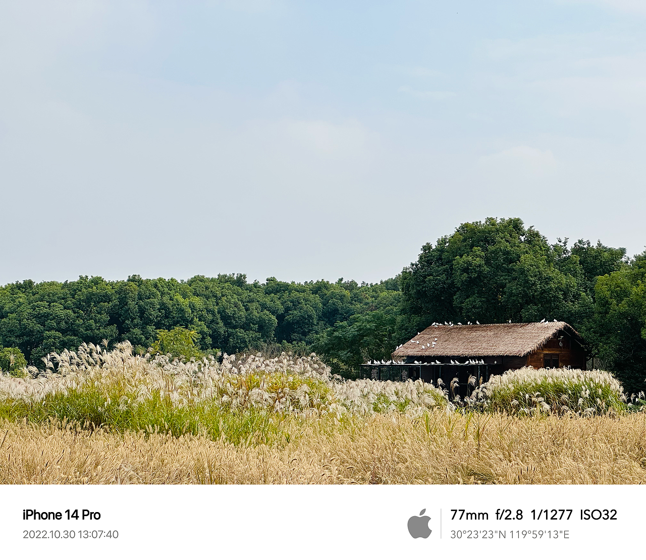 Clint手机摄影/生活观察2022Q4（图ZMzQ1ODI5NDc2） - 人文/纪实摄影 - 站酷设计师Clint克林原创素材 - 站酷ZCOOL