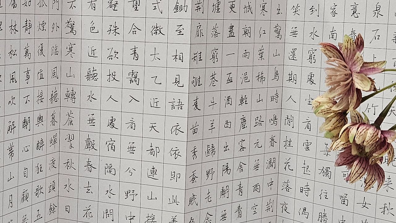 铅笔字打卡