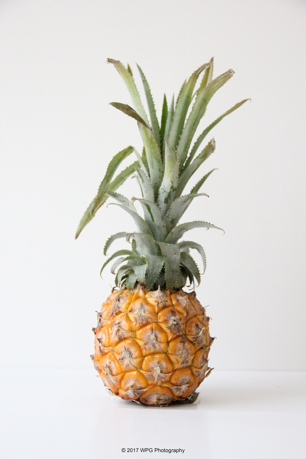 《 菠萝 》|摄影|产品摄影|王珮光_原创作品-站酷zcool