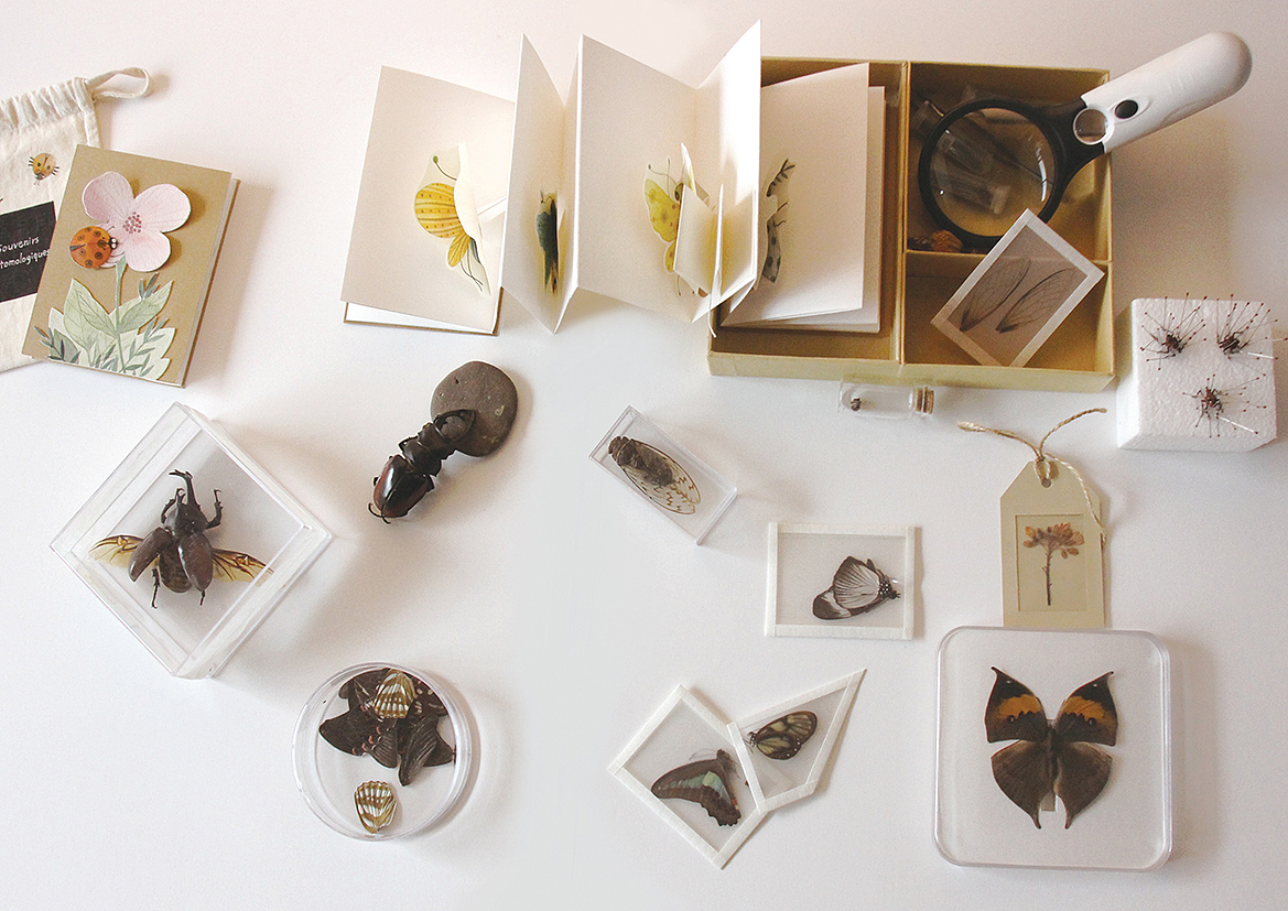 最新出版水彩教程书《昆虫记》（图ZMTEzODM4MTIw） - 商业插画 - 站酷设计师皮痞祖2016原创素材 - 站酷ZCOOL