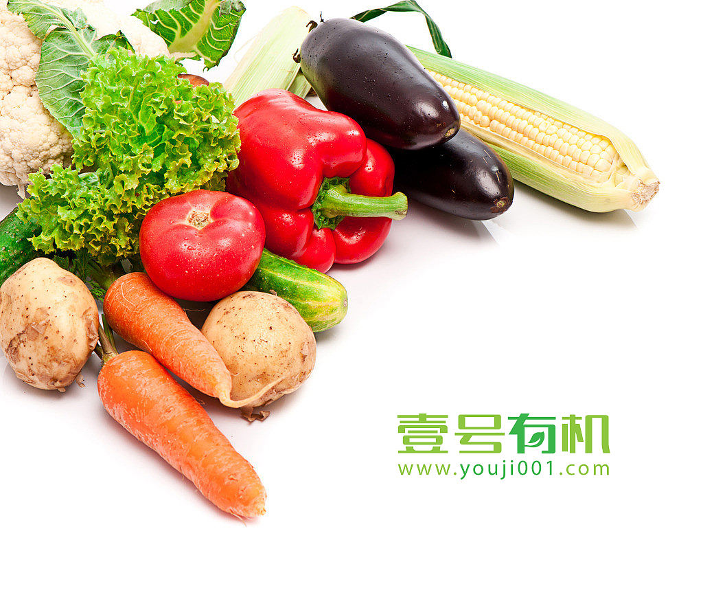 绿色有机食品平台logo字体设计-壹号有机（图ZNTIwMTk2NDQ=） - Logo - 站酷设计师优度设计原创素材 - 站酷ZCOOL