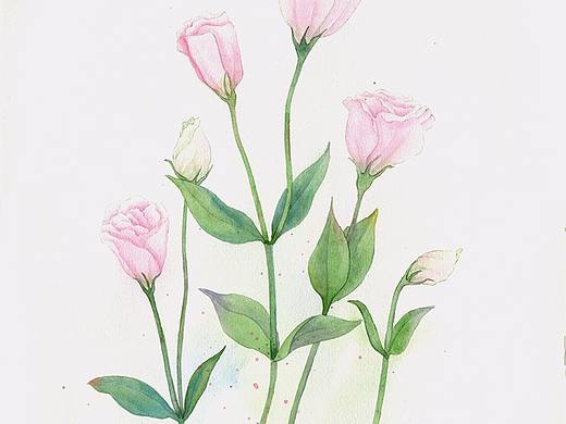 洋桔梗（個(gè)人主頁(yè)-ZMjU0ODUzNTY=） - 創(chuàng)作習(xí)作 - 站酷設(shè)計(jì)師茉白roman原創(chuàng)素材 - 站酷ZCOOL