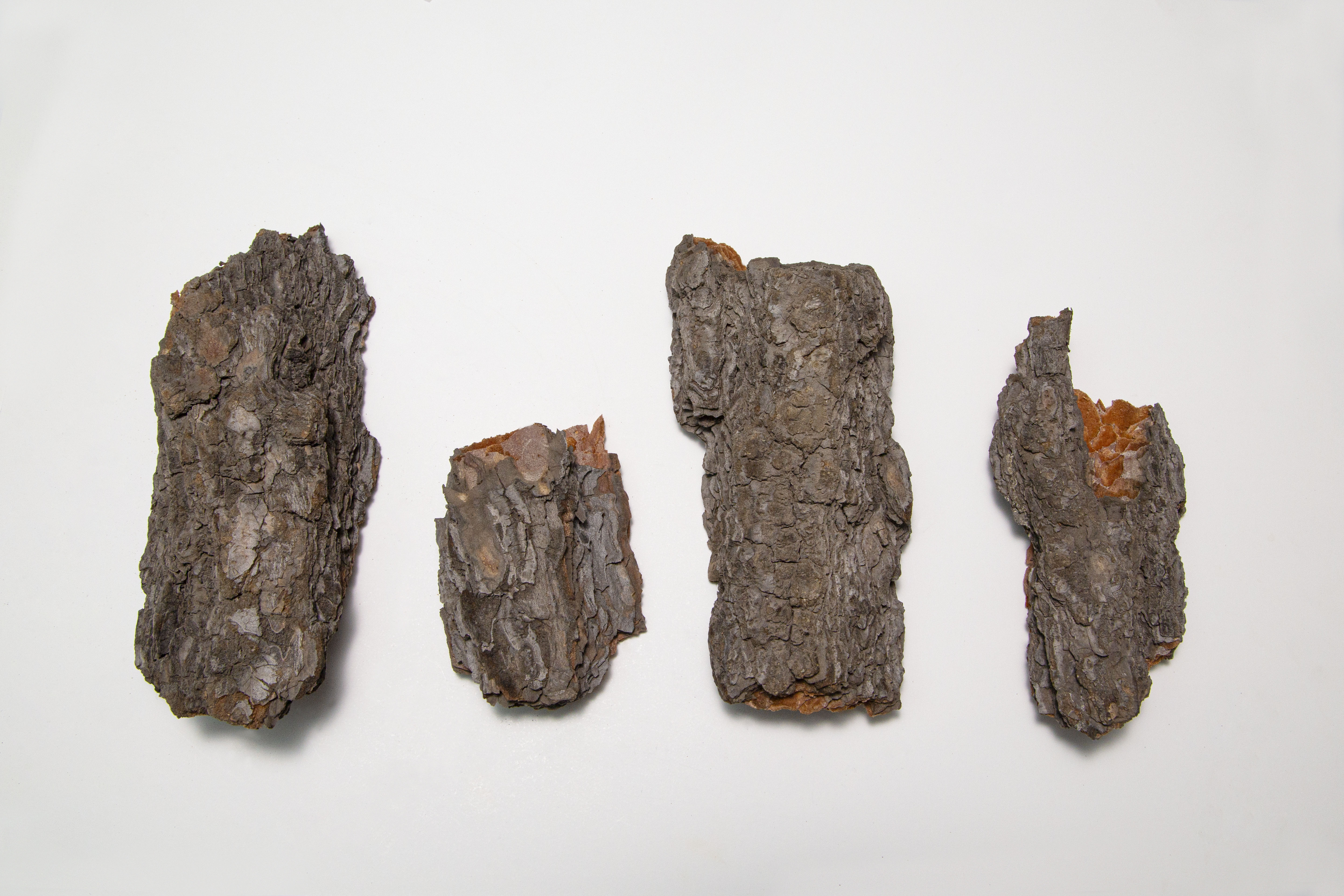 CarinaJia的個(gè)人主頁（封面預(yù)覽） - 主頁封面設(shè)置 - 站酷設(shè)計(jì)師CarinaJia原創(chuàng)素材 - 站酷ZCOOL