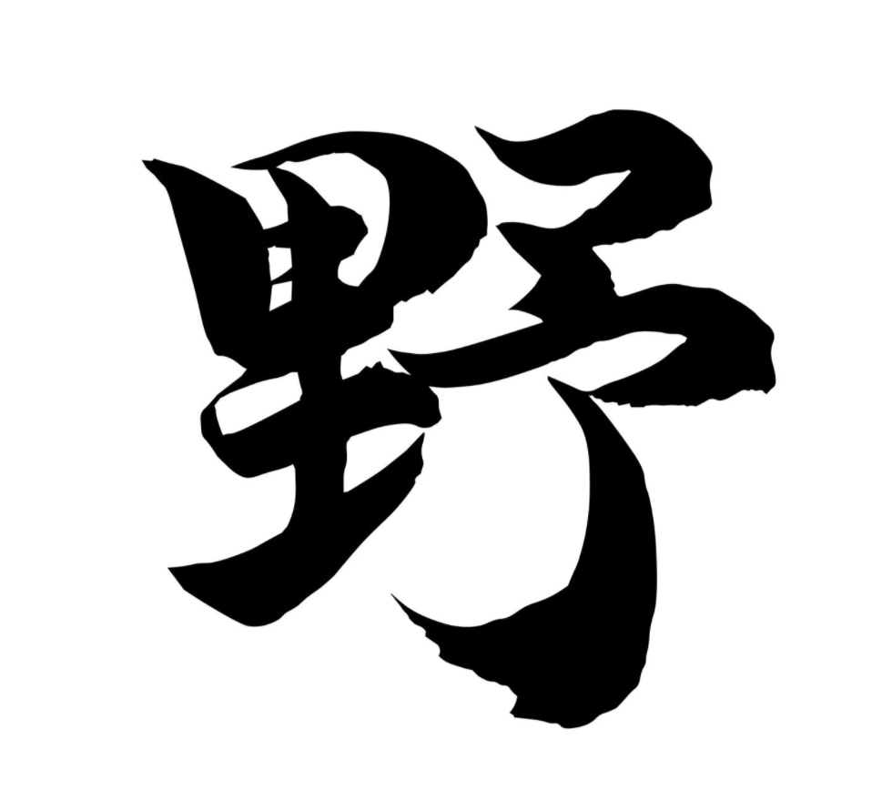 野新字下载 | 写字能当饭吃吗北京/平面设计师/2年前/1662浏览汉仪