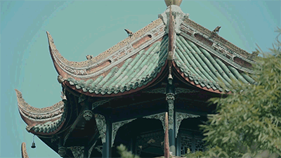 小满 | 古风MV
