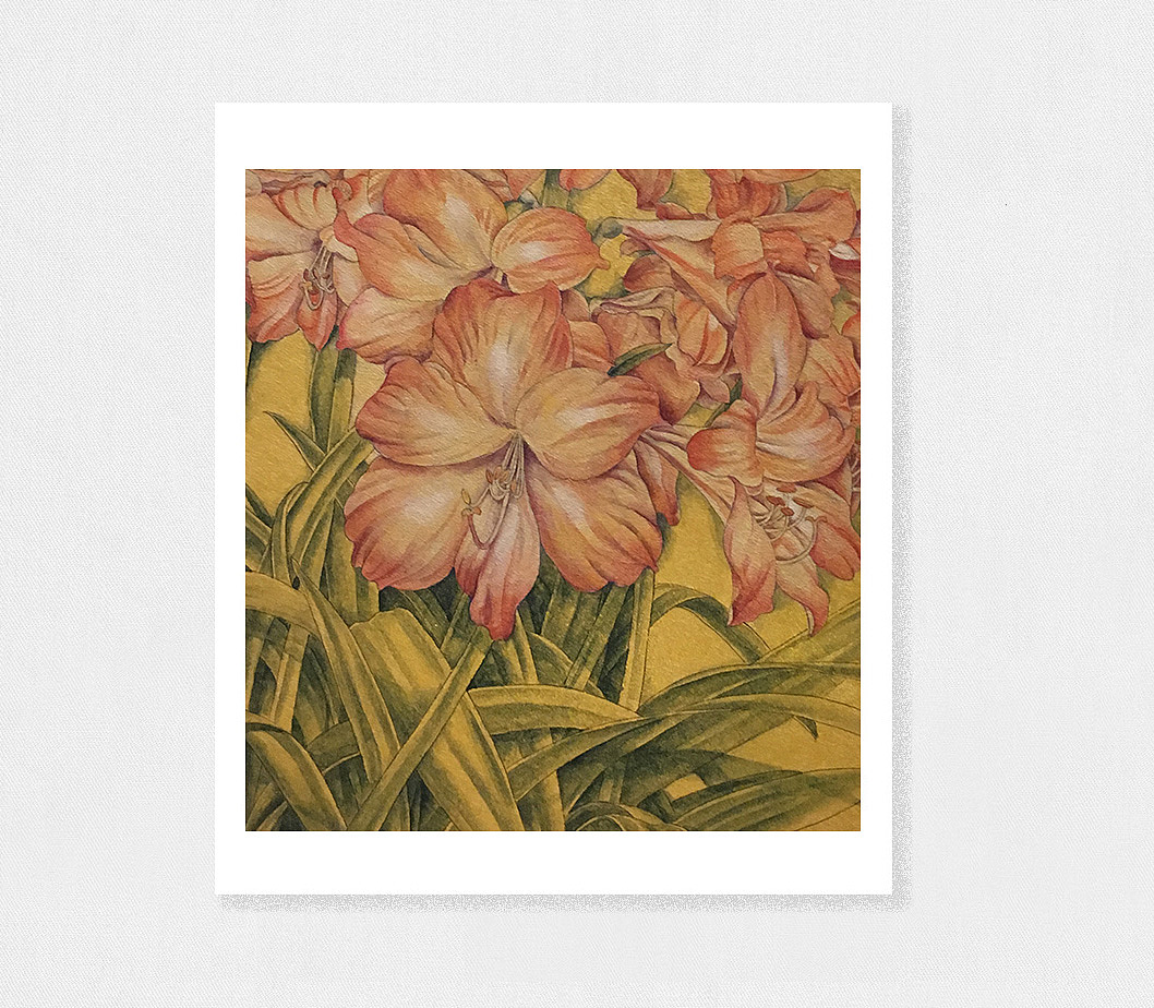 花花草草绘画（图ZMTE5NzU3NjQw） - 艺术插画 - 站酷设计师xiepeifen原创素材 - 站酷ZCOOL