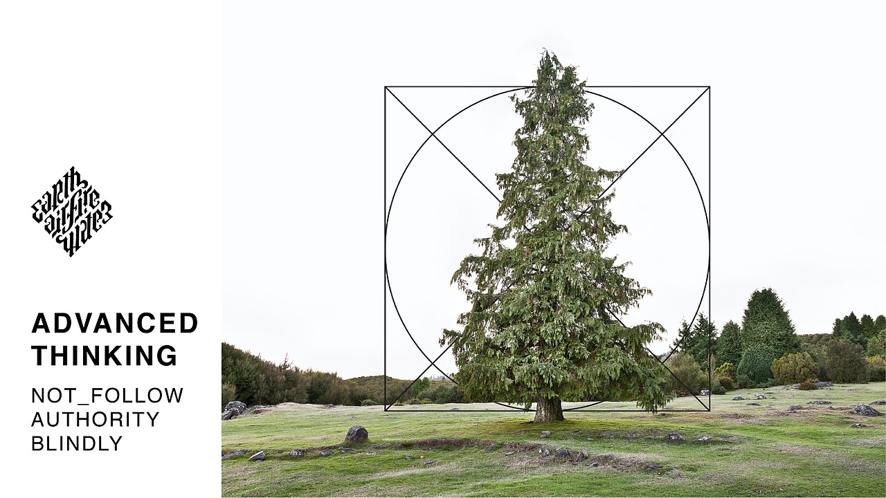 潮牌服装品牌视觉设计（图ZMjE1MzMwMjcy） - 品牌 - 站酷设计师广州维思计设原创素材 - 站酷ZCOOL