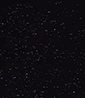 LLLi_Q的个人主页（背景预览） - 主页背景设置 - 站酷设计师LLLi_Q原创素材 - 站酷ZCOOL