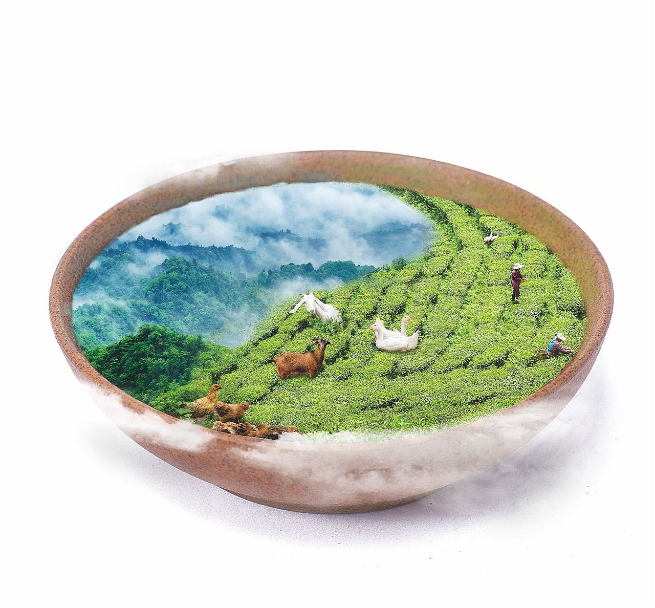 瑞福生视觉设计