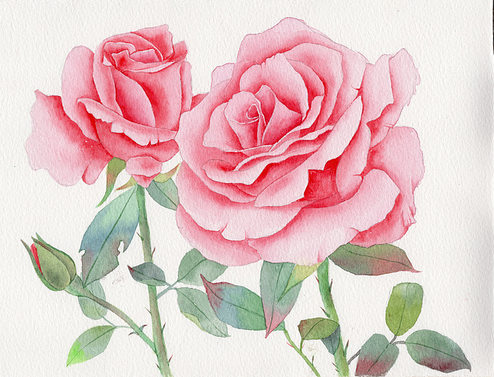 第五次的绘画，算是一次飞跃式的突破了，用色上面也有了一些经验，体积感也是有的了。