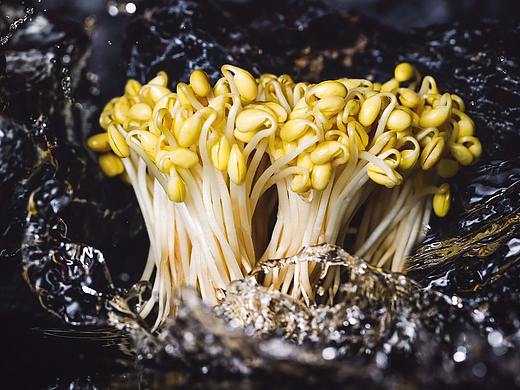 沸悦火锅 鲜菜系列海报