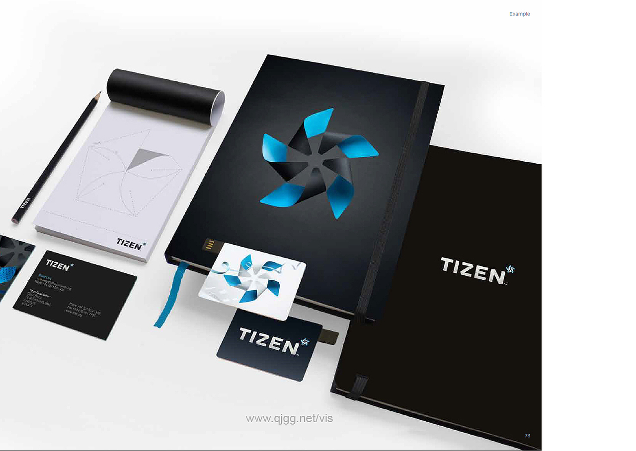 TIZEN vis