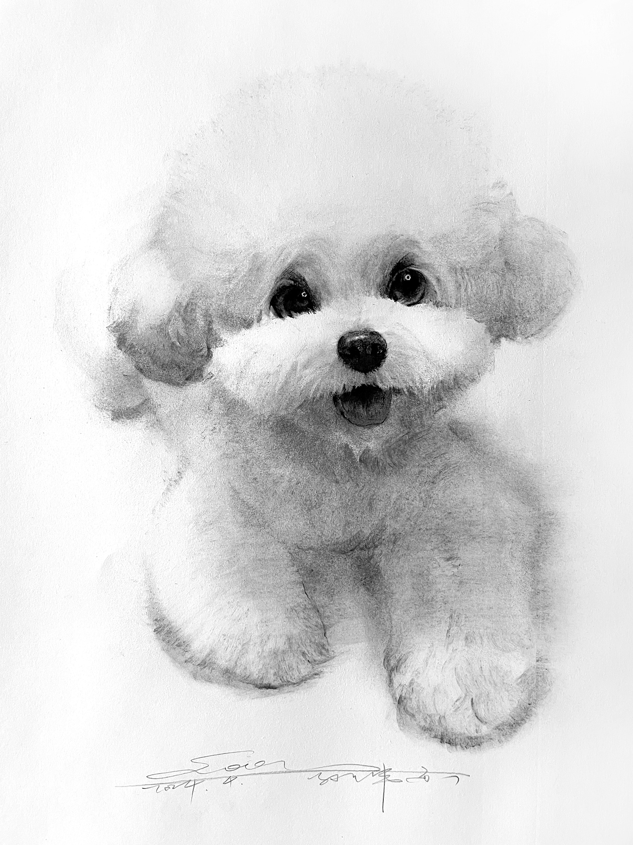 黑白插画也可以很好看不是吗？