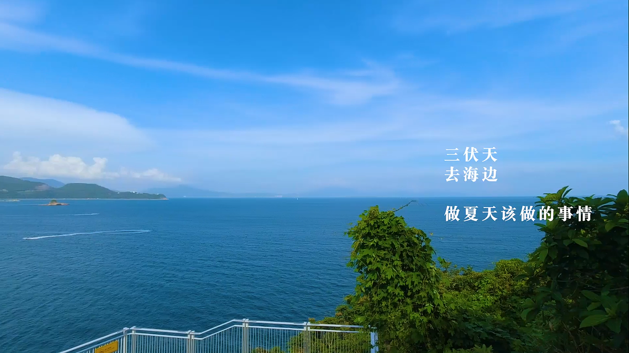 三伏天 去海边 做夏天该做的事情