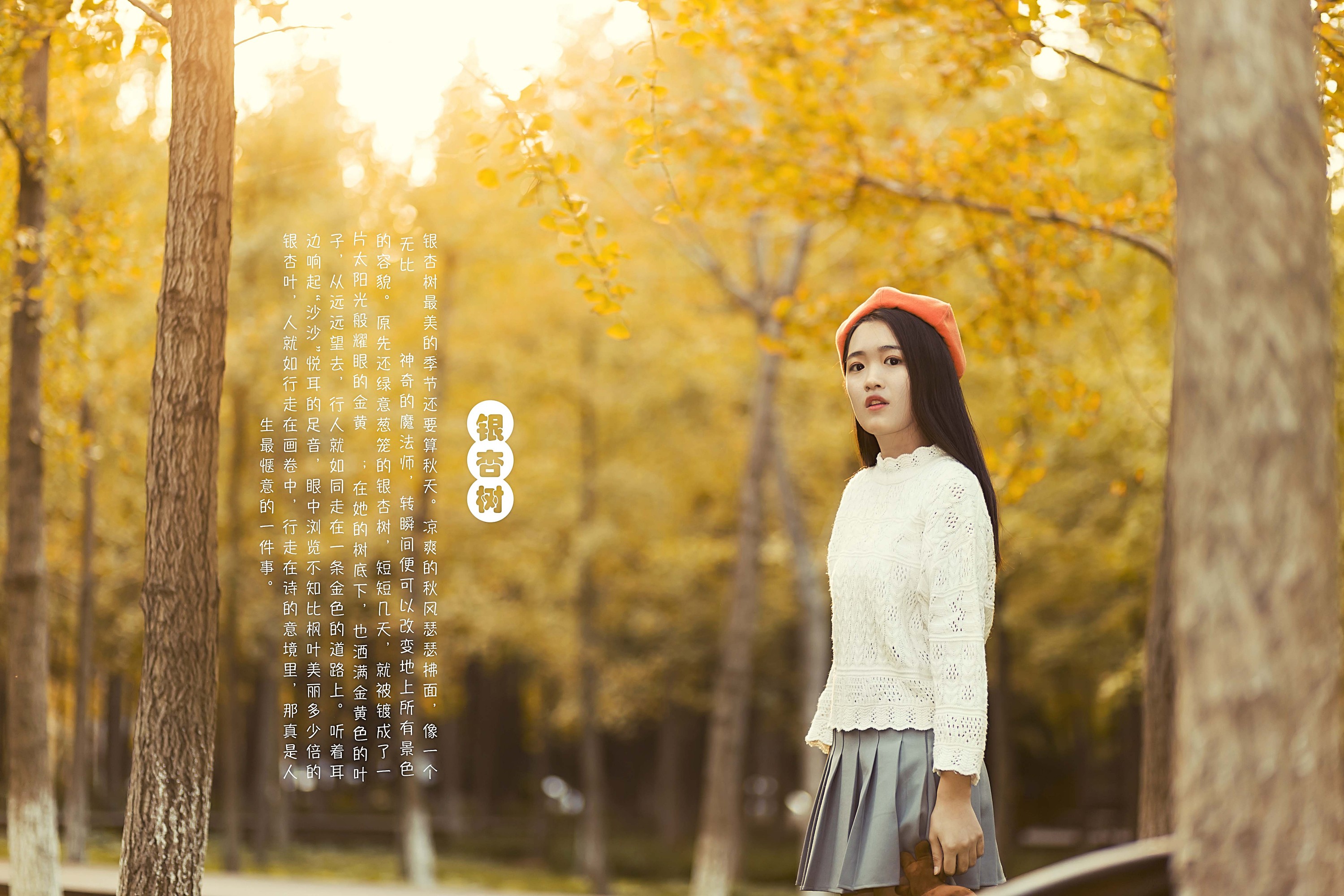 秋,银杏树|摄影|人像|zzzzccll - 原创作品 - 站酷 (zcool)