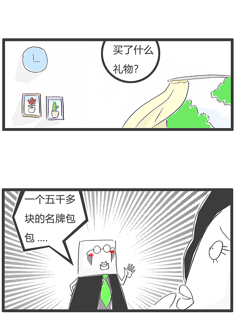 在回家的路上,买了个很贵的包