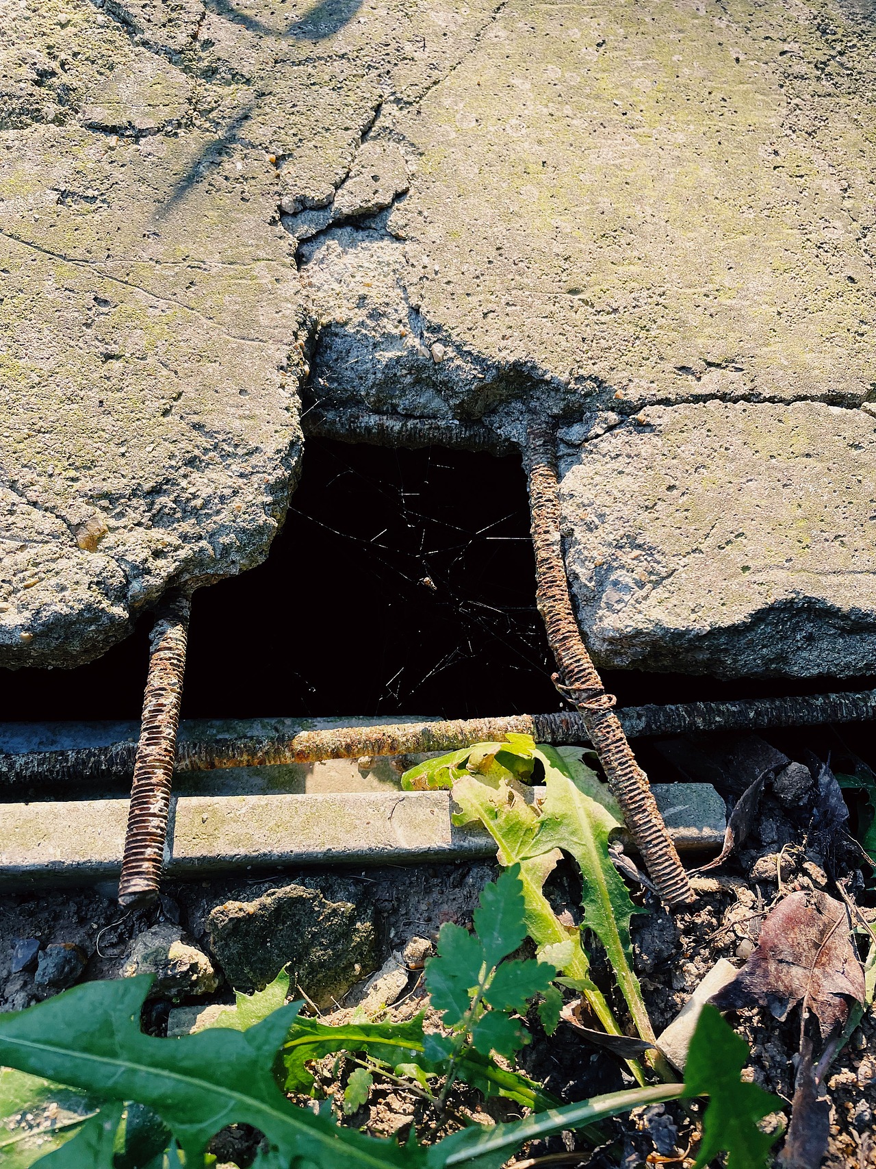 近来的日子里（图ZMjY2OTk4OTQ4） - 风光摄影 - 站酷设计师郭嘘嘘同学原创素材 - 站酷ZCOOL