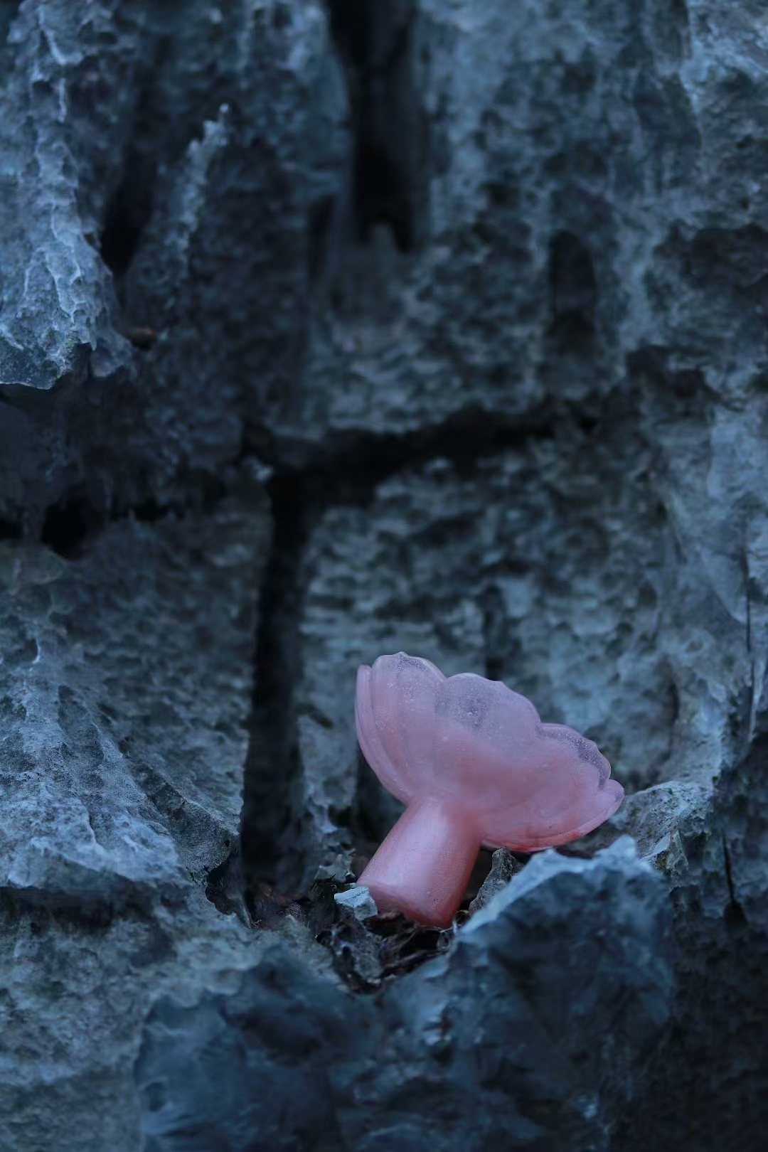 琉璃美学生活礼品|茶器...（图ZMzAwMzIxNjgw） - 生活用品 - 站酷设计师远传艺术玻璃琉璃原创素材 - 站酷ZCOOL