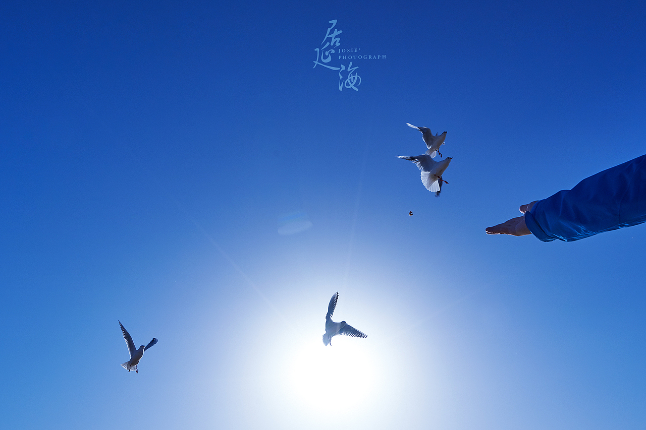 西出阳关 北过居延 行之万里（图ZMzkxODE0NzY=） - 风光摄影 - 站酷设计师晓若xiaoruo原创素材 - 站酷ZCOOL