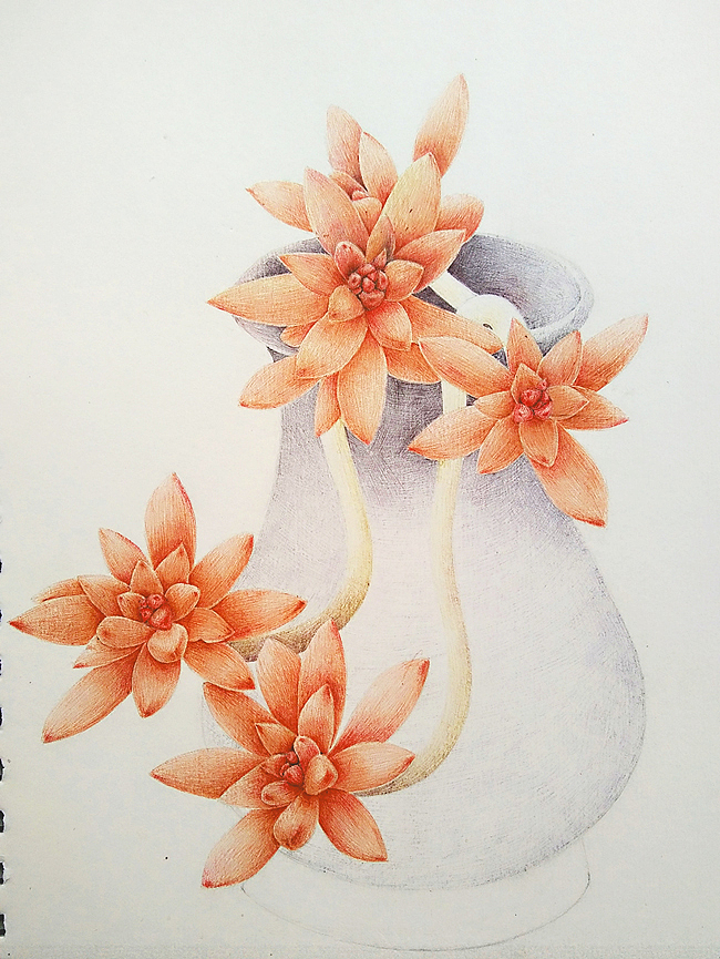 圆珠笔肉肉(三)