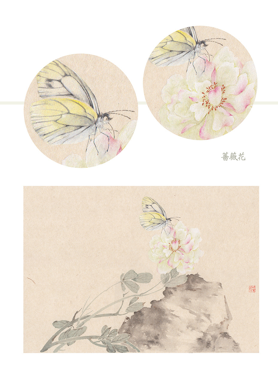 一组没骨蝴蝶(附蝴蝶出现过程)|纯艺术|绘画|知末 - 原创作品 - 站酷