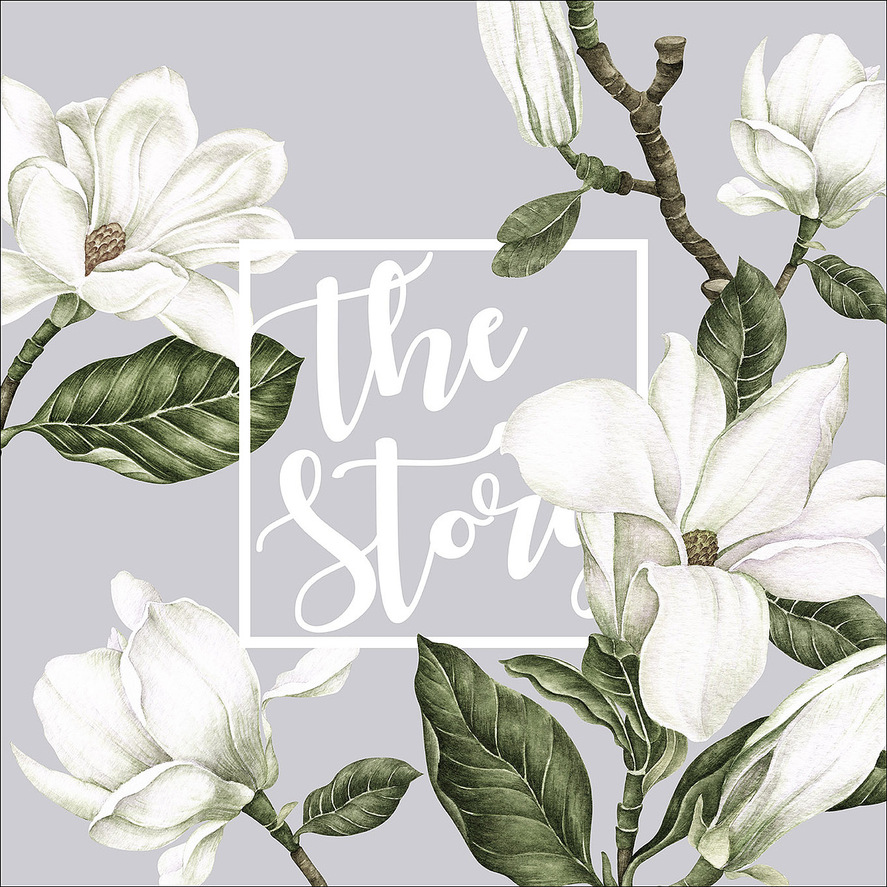 手绘植物篇(玉兰花)