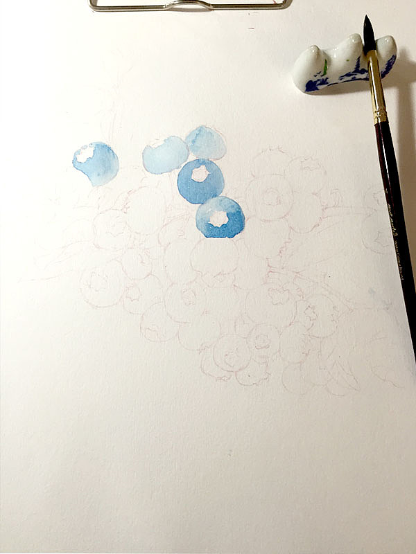 蓝莓（图ZNTA4NzgyNjQ=） - 商业插画 - 站酷设计师山狐小妖原创素材 - 站酷ZCOOL