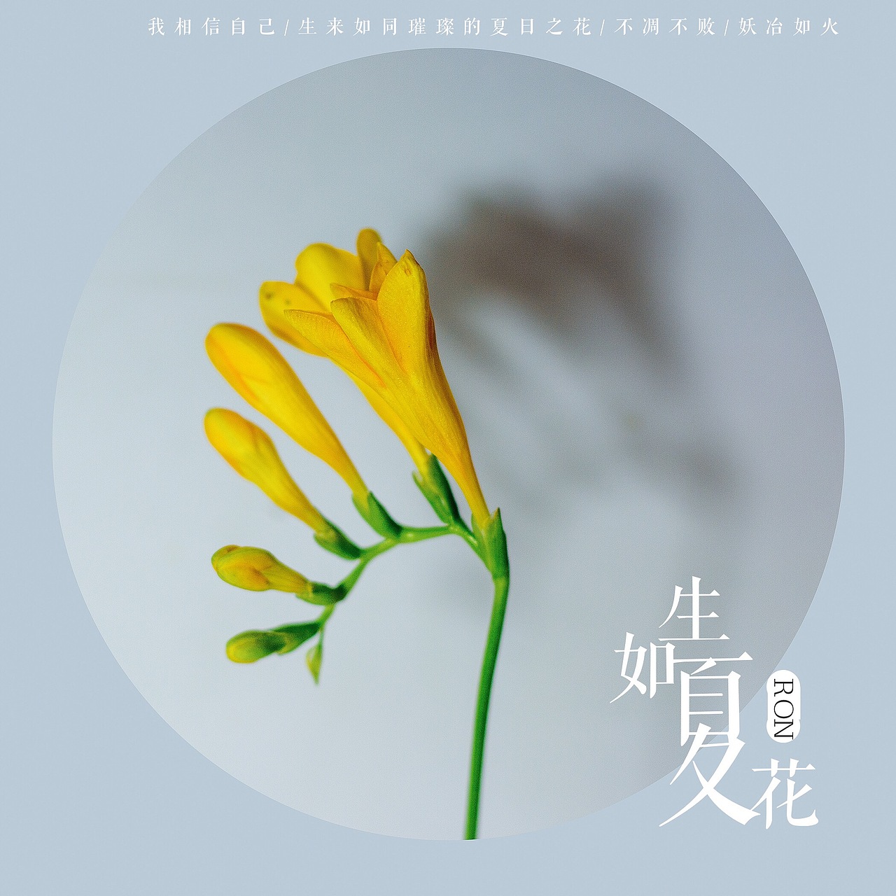 香雪兰（图ZNzIyOTcyNjg=） - 产品摄影 - 站酷设计师榮羽生RON原创素材 - 站酷ZCOOL