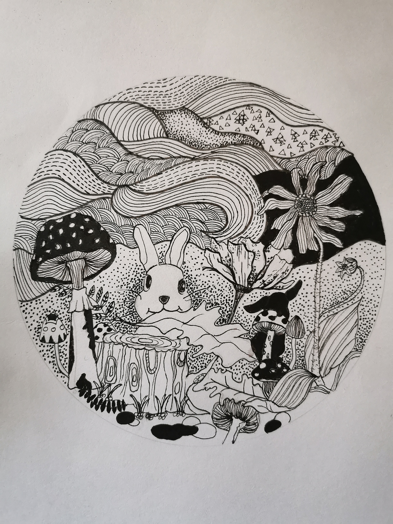 黑白装饰画兔子